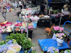 -循礼门鲜花花市(武汉循礼门店)