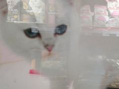 -龟与熊猫宠物公园(南坪店)
