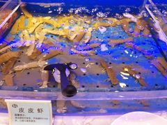 -澜悦港海鲜体验主题餐厅