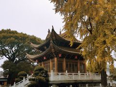-上海东林寺(金山区)