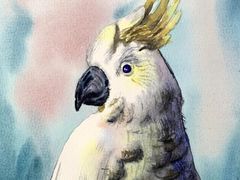 -青沐画室·专业美术培训