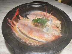 -陶陶居酒家(新天地店)