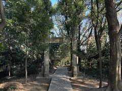 -上海佘山国家森林公园天马山园