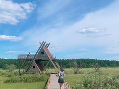 -塞罕坝国家级自然保护区