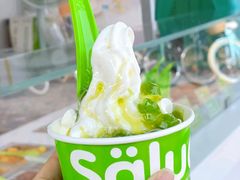 冻酸奶-Salud撒露欧洲冻酸奶(蓝色港湾店)