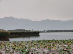 -野鸭湖国家湿地公园