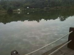 android_upload_pic-广西壮族自治区药用植物园