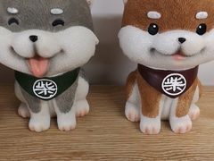 -柴迷FANS CLUB·柴犬狗咖·猫咖