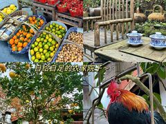 -青城甲(青城山店)