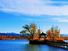 -野鸭湖国家湿地公园