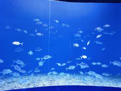 -波塞冬海底世界