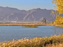 -野鸭湖国家湿地公园