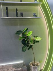 -不迫先生专业男士剪发