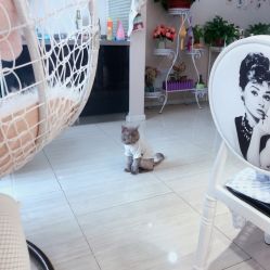 -璀璨&星光美甲美睫店