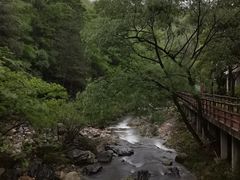 -黄山翡翠谷景区