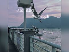 -海埂大坝
