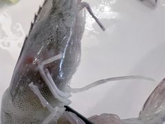 -瑞诗酒店西餐·咖啡厅