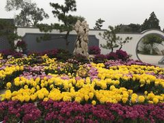 -清明上河园-迎宾门售票处