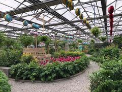 -南宫五洲植物乐园