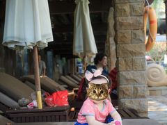 -三亚亚龙湾天域度假酒店