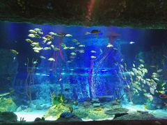 -沈阳海洋探索中心