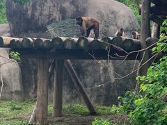 -宁波野生动物园