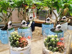 -豆豆花艺(新光天地店)