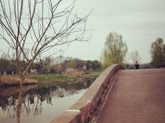 -白鹭湾湿地公园