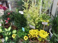 -无锡文化工艺品市场(槐古路店)