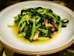 ws香菇鸡毛菜-辛香汇(宝乐汇店)