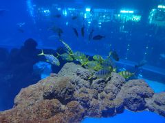 -成都浩海立方海洋公园