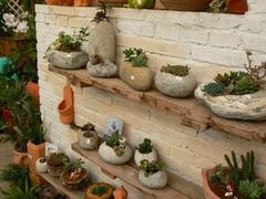 -三圣花乡旅游区