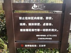 -铁山坪森林公园