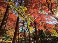 -醍醐寺