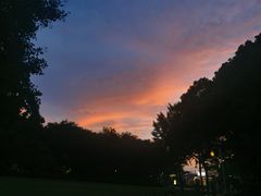 -新虹桥中心花园