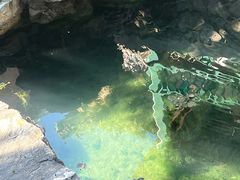 -莲池书院博物馆