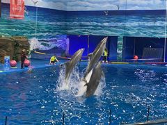 -多彩贵州城极地海洋世界