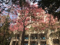 -清远恒大酒店·寻味清远