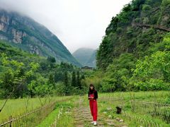 -鹿院坪生态旅游景区