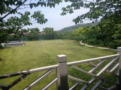 -黄陂区野村谷景区