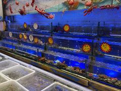 -喜碧海鲜·二十年本土海鲜老字号(上排店)