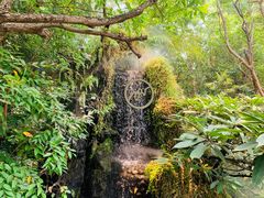 -Chom Cafe and Restaurant