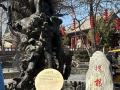 -大槐树寻根祭祖园