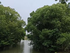 -南汇桃花村