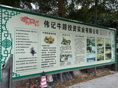 -伟记牛蹄(道滘店)