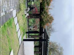 -东园小馆·早茶·淮扬小炒(宋夹城店)