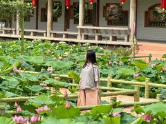 -广州莲花山旅游区