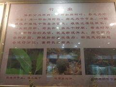 -上海昆虫博物馆