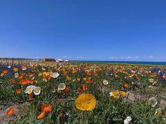 -青海湖国家重点风景名胜区