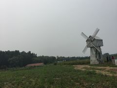 -北京东方普罗旺斯薰衣草庄园
